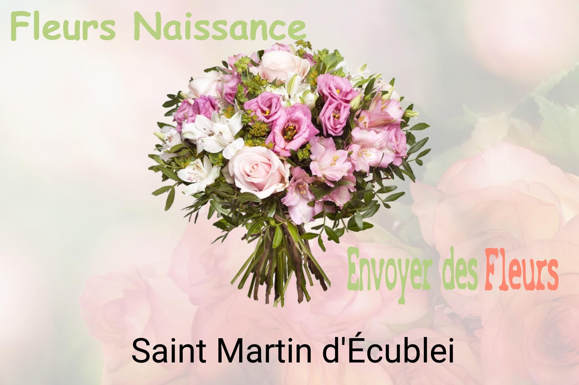 Bouquet de fleurs de naissance livré à Saint-Martin-d'Écublei